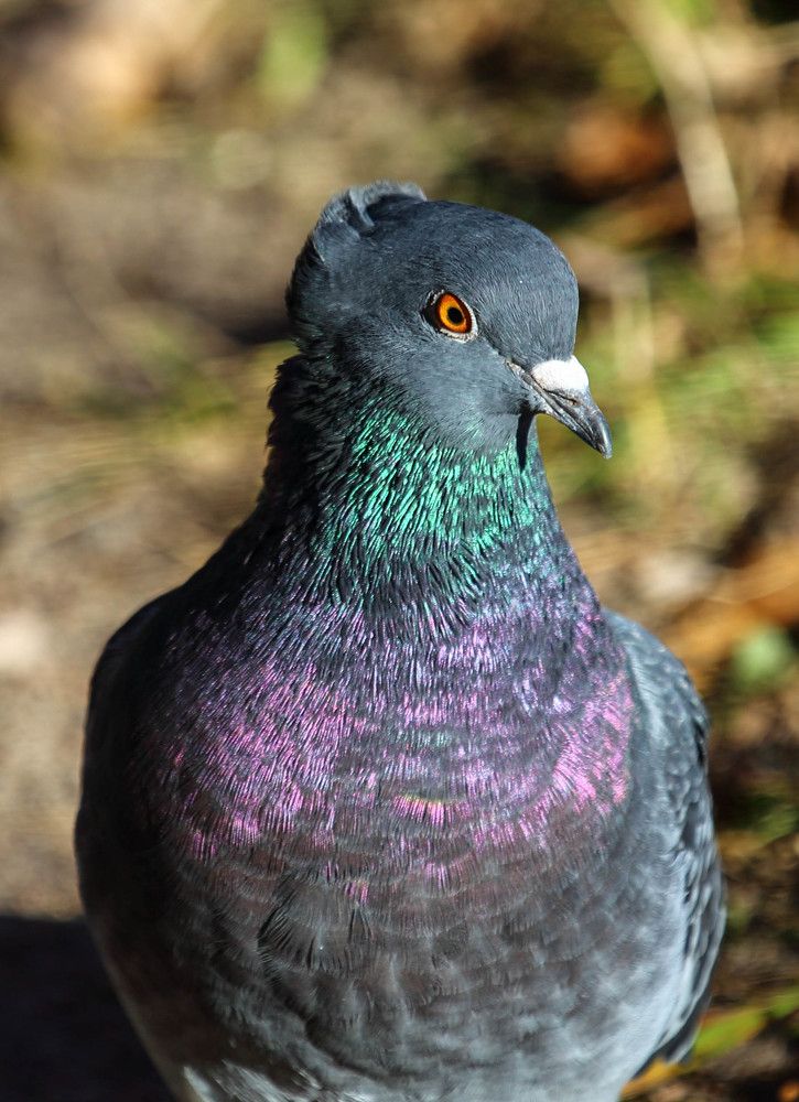 Photograph by Михаил Бояркин