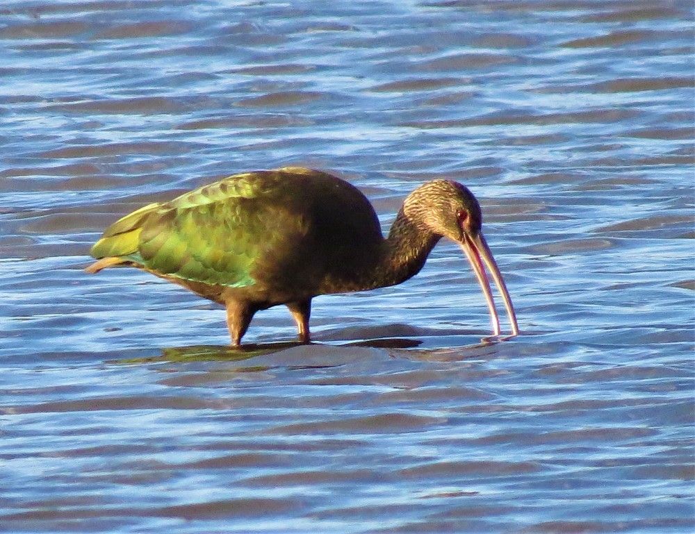 Фотография автора Carolina Mellado