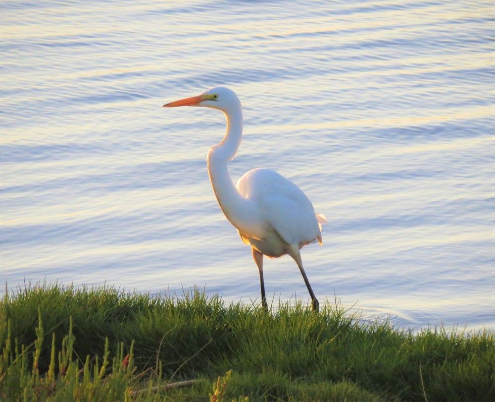 Фотография автора Carolina Mellado