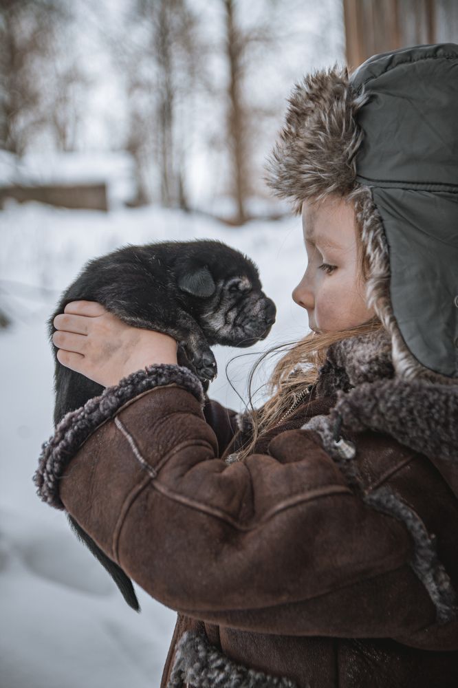 Photograph by Альбина Баташова