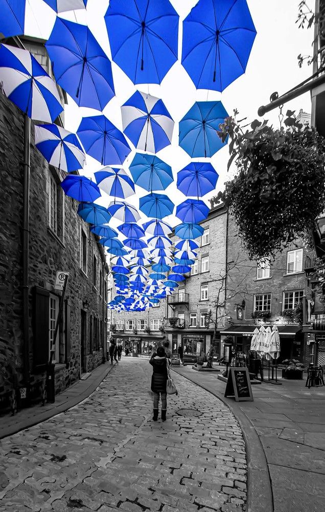 Фотография автора Fernando Orozco Fajuri