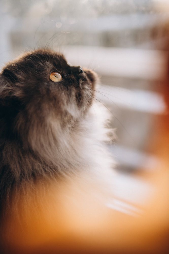 Photograph by Анна Белка