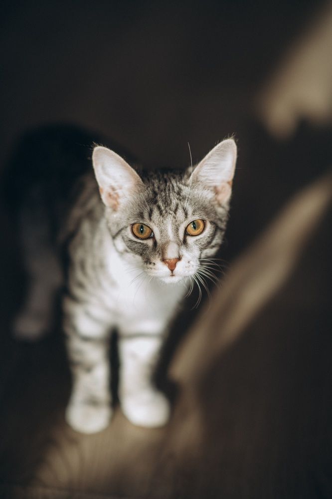 Photograph by Анна Белка