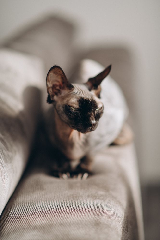 Photograph by Анна Белка