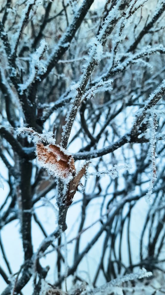 Фотография автора Дарина Фельдман