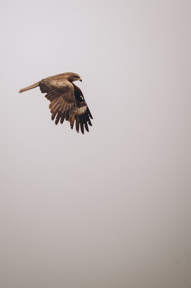 Photograph by Анна Белка