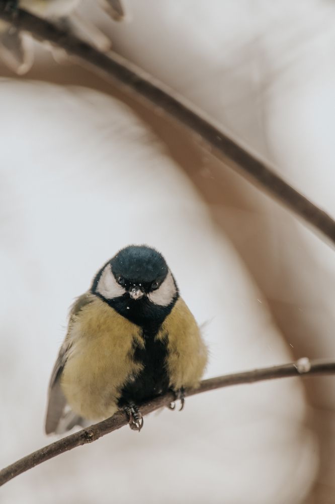 Photograph by Анна Белка