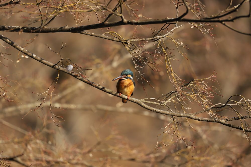 Photograph by Se Lena