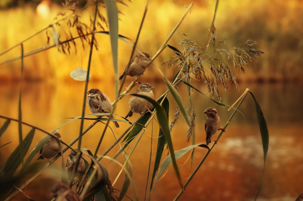 Photograph by Светлана Инькова