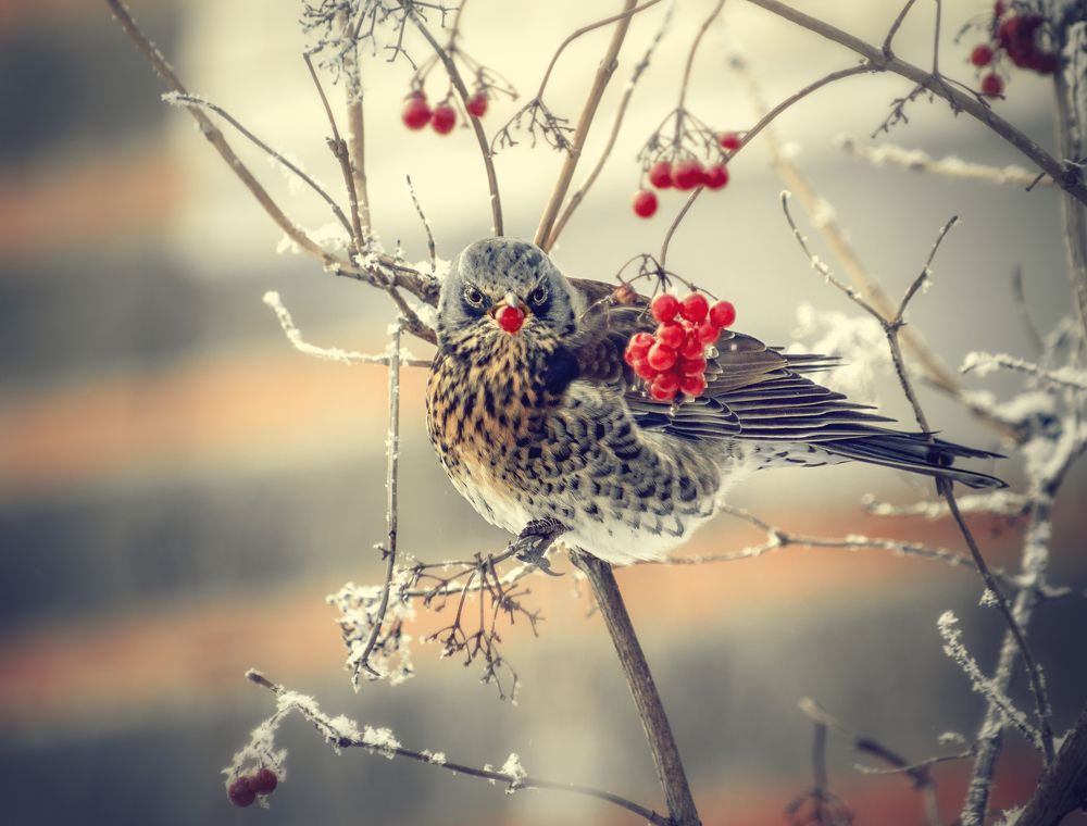 Photograph by Светлана Инькова