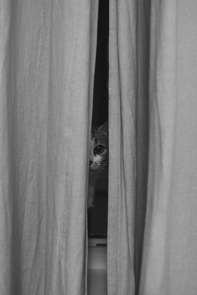 Photograph by Лилия Бабченко