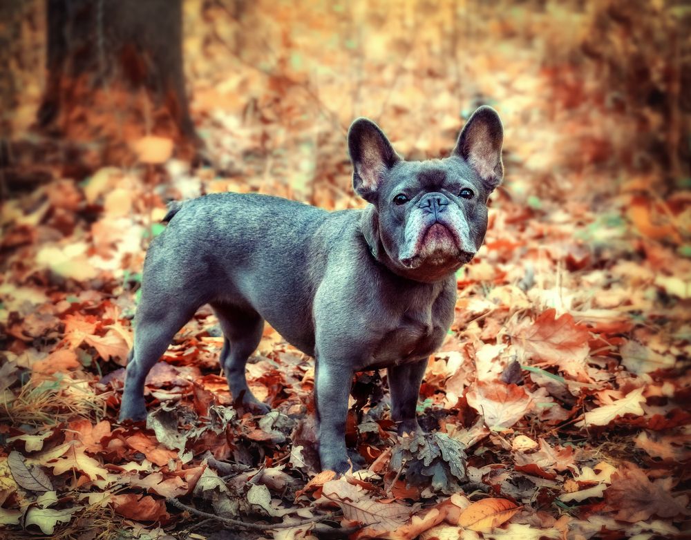 Photograph by Светлана Инькова