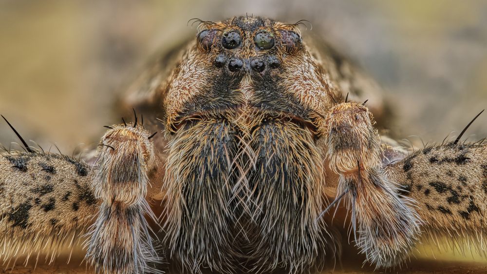 Photograph by AlexMcK Photography