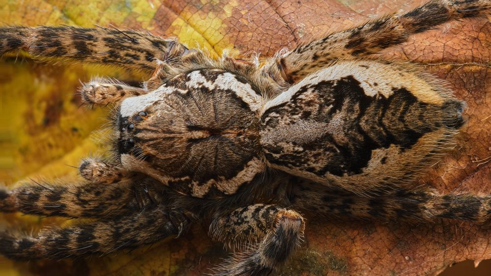 Photograph by AlexMcK Photography