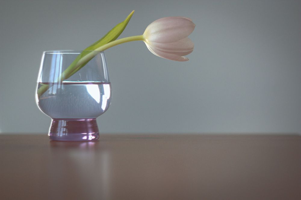 Photograph by Екатерина Нефедова