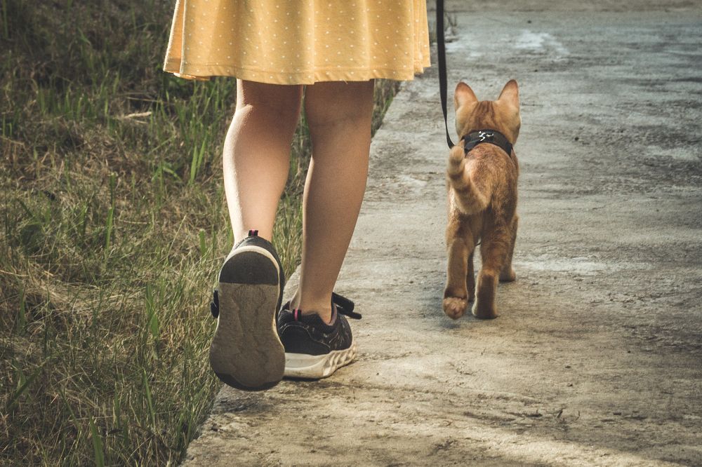 Photograph by Лилия Бабченко