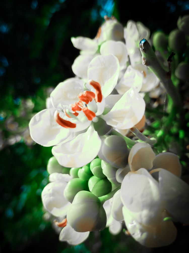 Photograph by Sadiq SadeeqNur