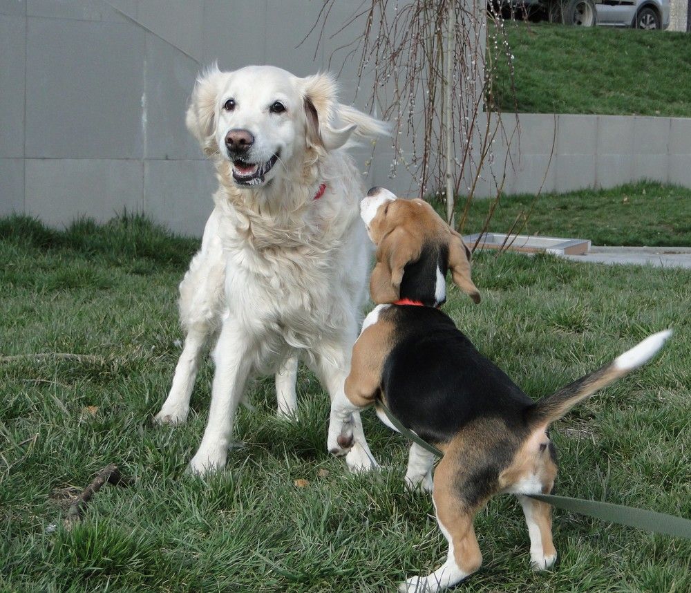 Photograph by Оксана Архипова