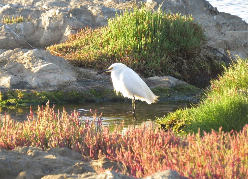 Фотография автора Carolina Mellado