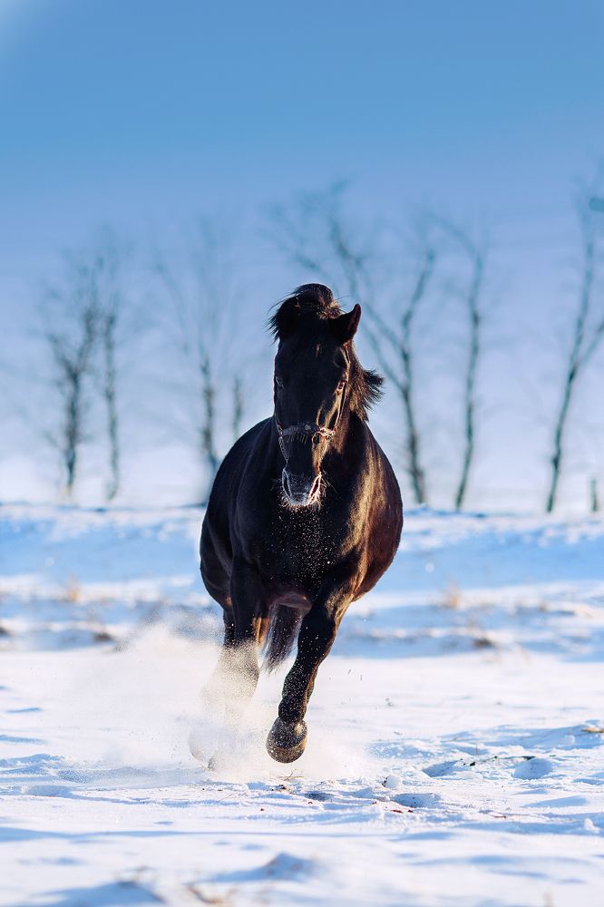 Photograph by Мария Балабанова