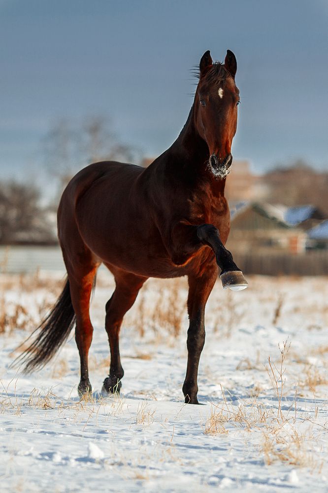 Photograph by Мария Балабанова