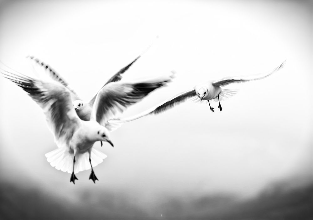 Photograph by Роман Приходько