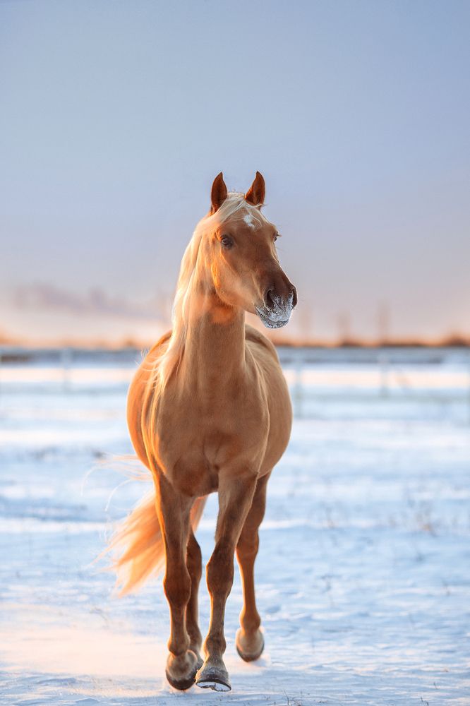 Photograph by Мария Балабанова