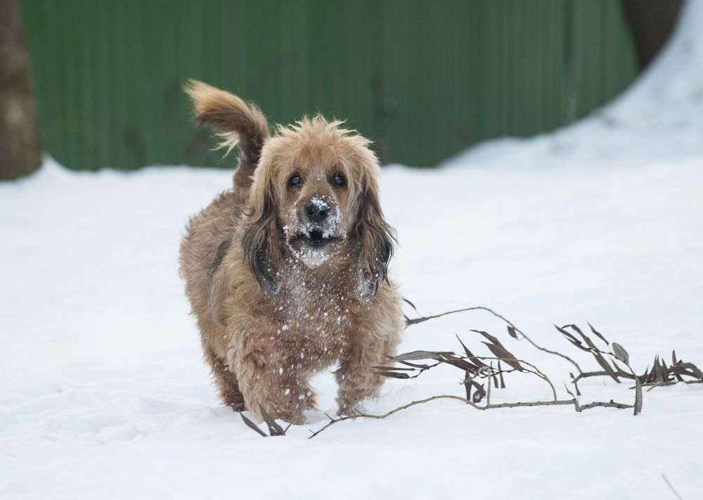 Photograph by Андрей Михайлин