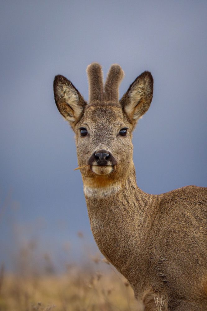 Photograph by Markéta Mastešová