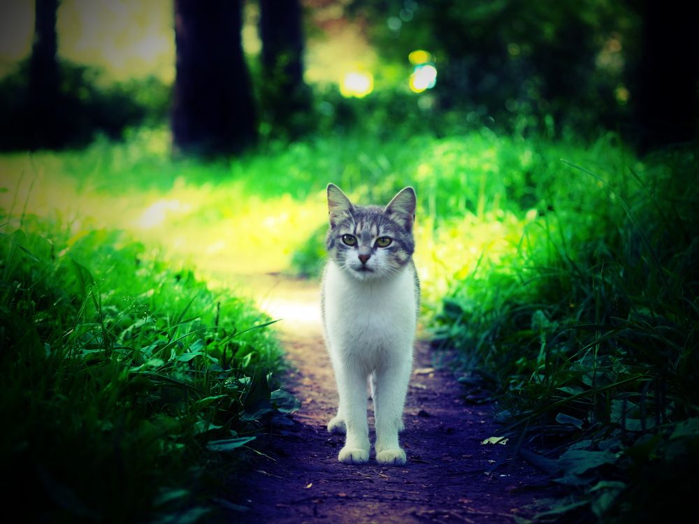 Photograph by Андрей Михайлин