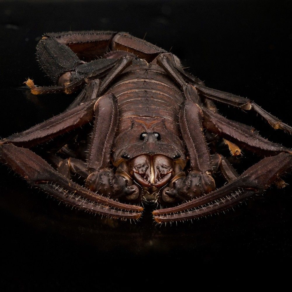 Photograph by jonasschrodt