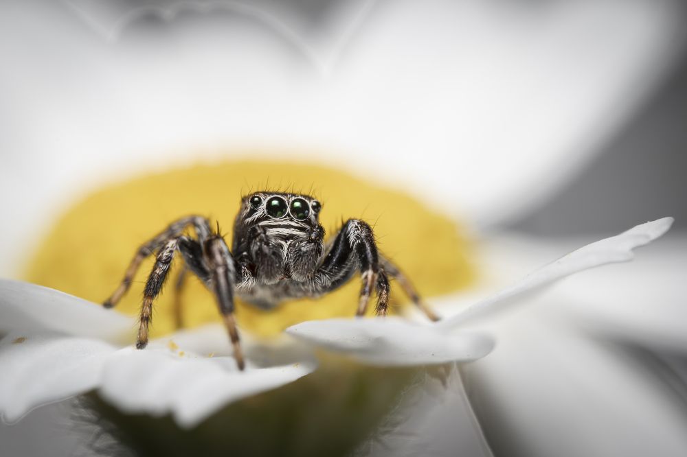 Фотография автора Krisztina Mácsai