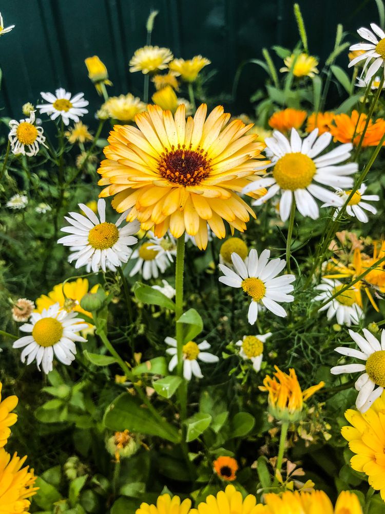 Photograph by Ирина Маркина