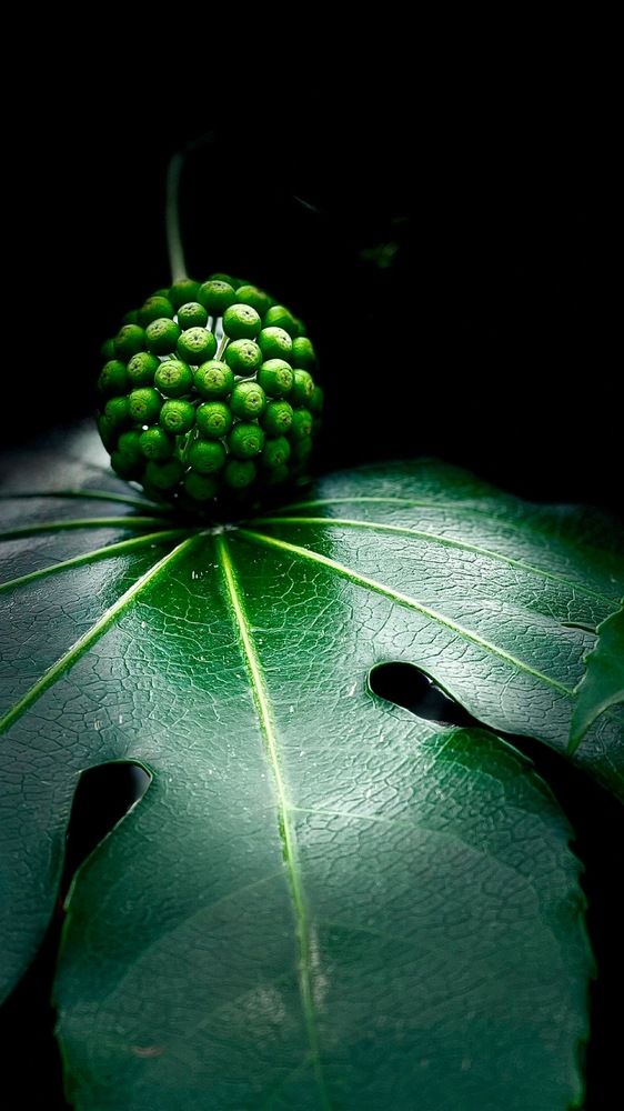 Photograph by Кузмин Дмитрий