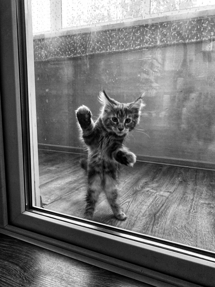 Photograph by Юлия Чиклеева