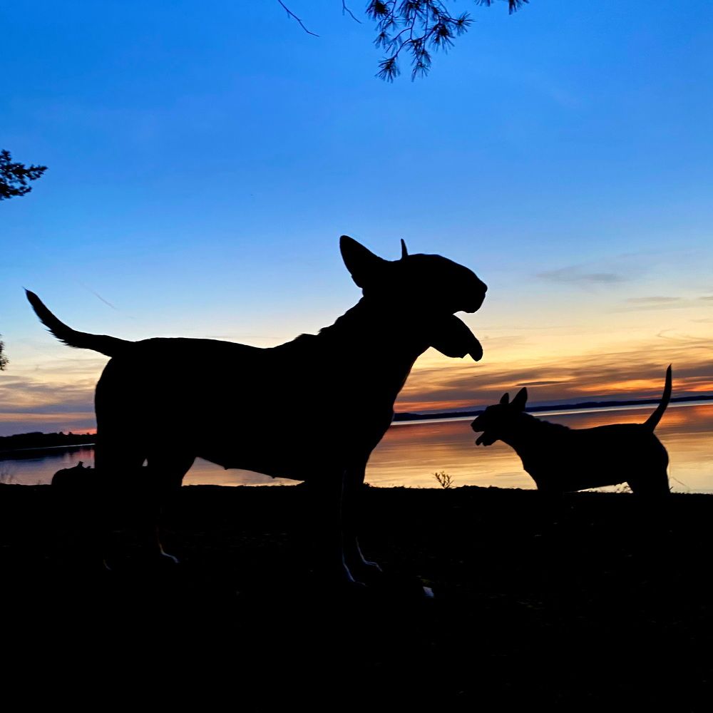 Photograph by Анна Григорьева