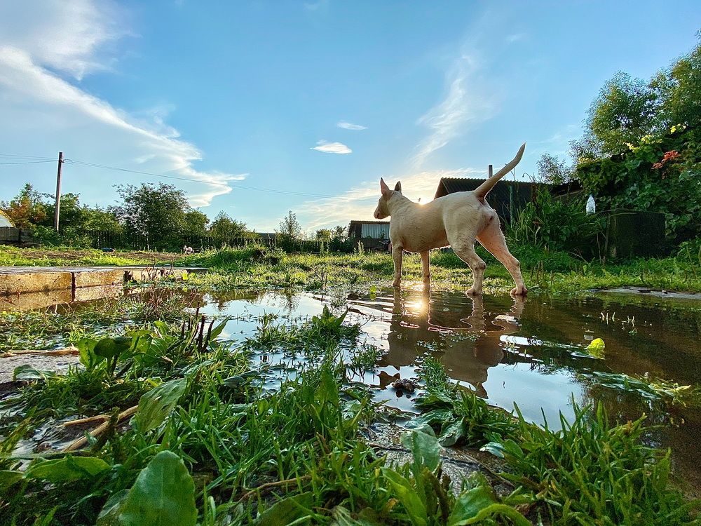 Photograph by Анна Григорьева