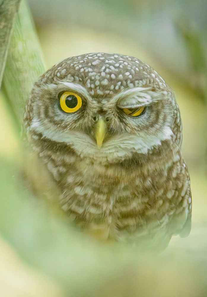 Photograph by Karmakar Kousik