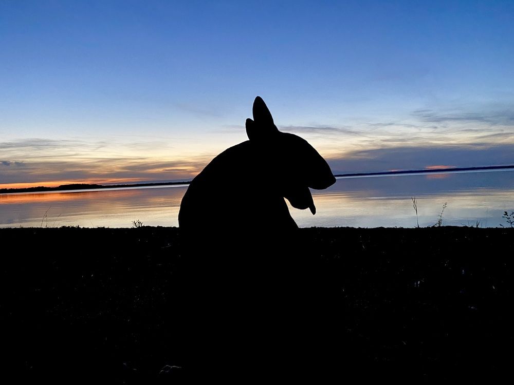 Photograph by Анна Григорьева