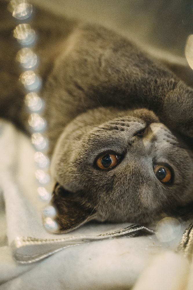 Photograph by Екатерина