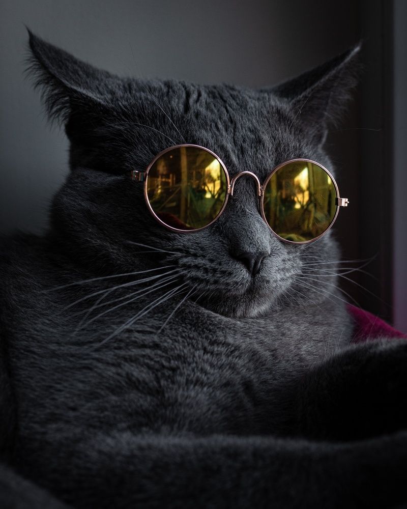 Photograph by Майя Полещук