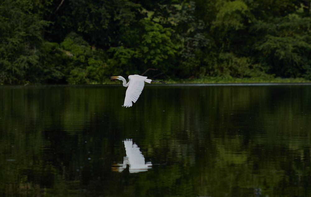 Photograph by Luis Manuel Jiménez Tabares