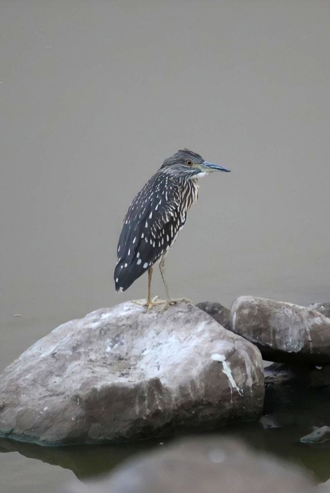 Photograph by mehmet kilicoglu