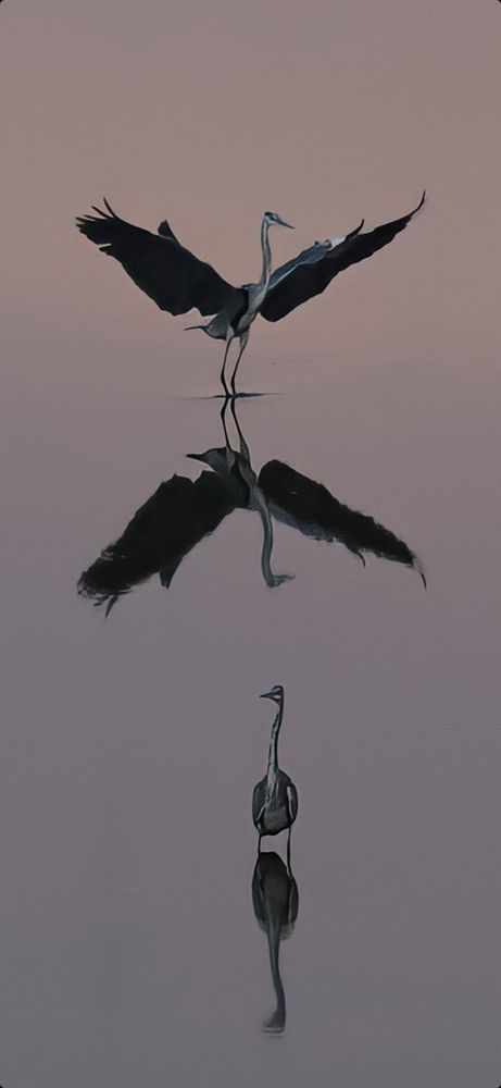 Photograph by mehmet kilicoglu