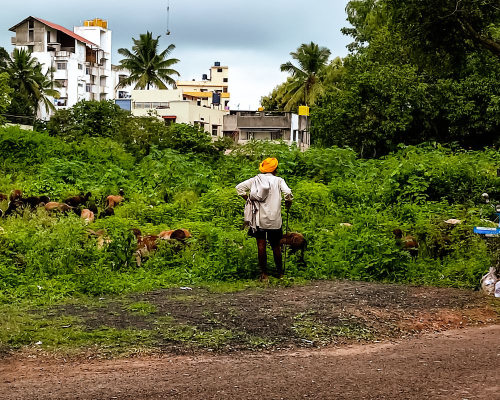 Photograph by ISHANK DESHPANDE