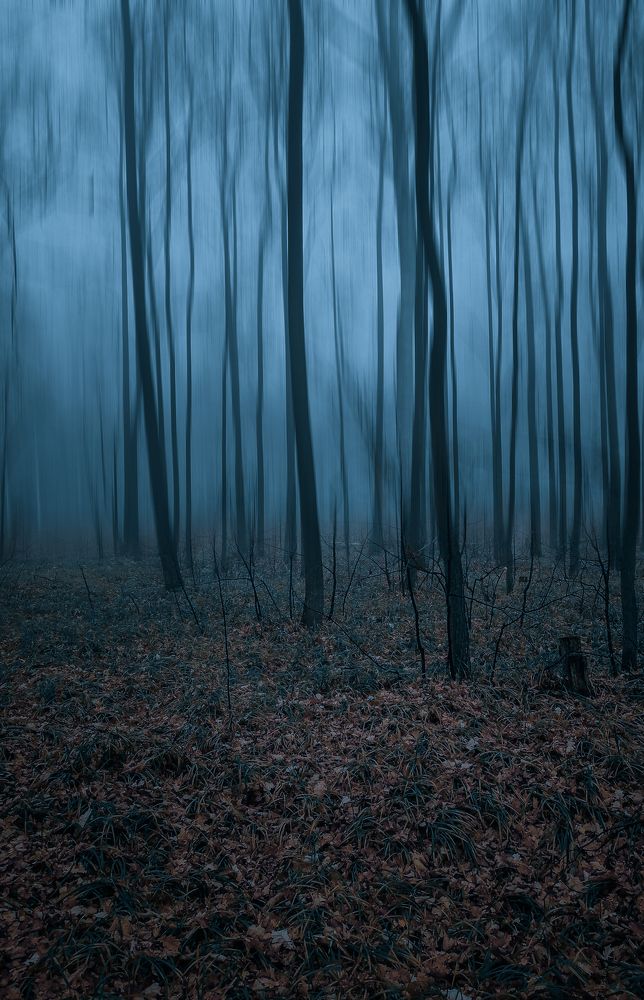 Photograph by Denis Romanov