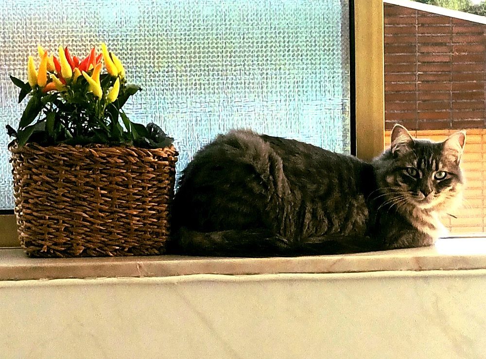 Photograph by Rita Moura