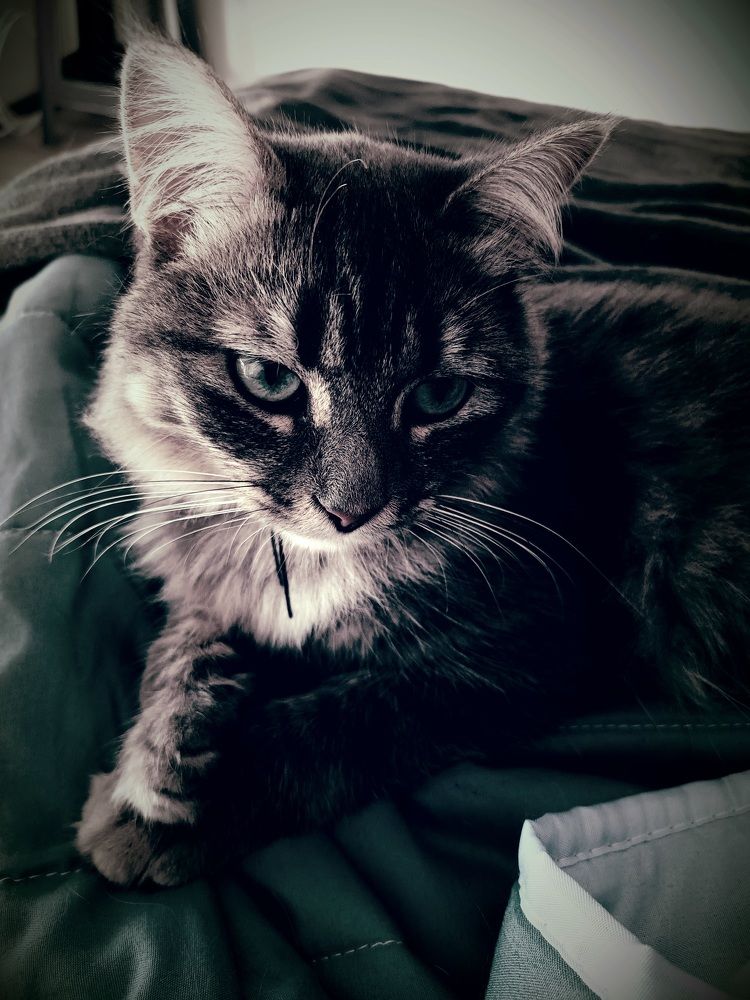 Photograph by Rita Moura