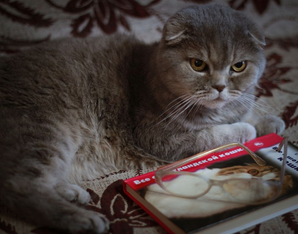 Photograph by Илья Бегунов