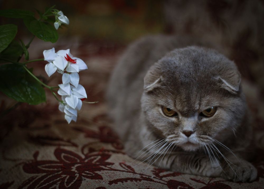 Photograph by Илья Бегунов